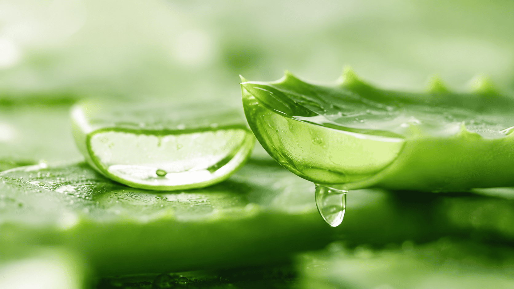 Soothing and Repairing Solution
